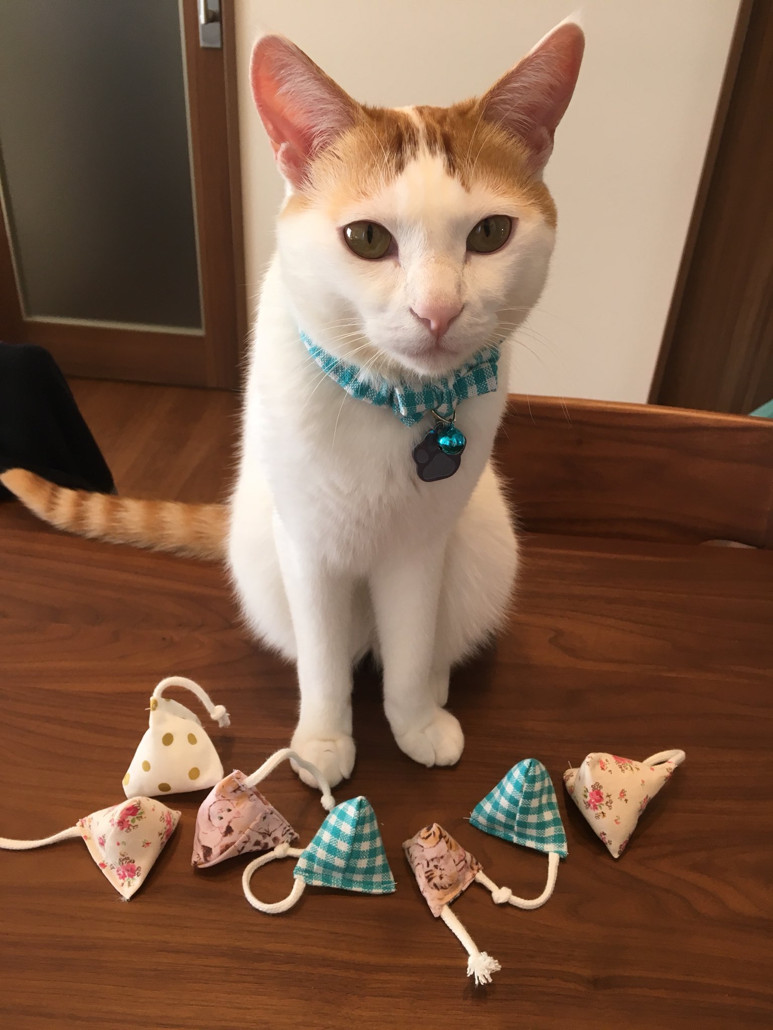 むぎ 気になってた猫まきびし 作り方を丁寧に紹介してある 記事を見つけて作成してみました なんかパーティみたい 笑 T Co 8asahpo6hu Twitter