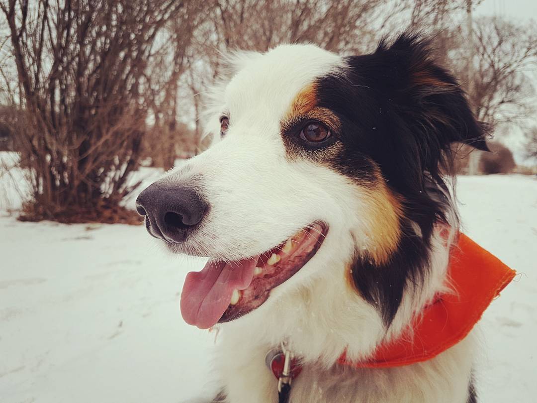 borderKyle's tweet image. I love snow ❄