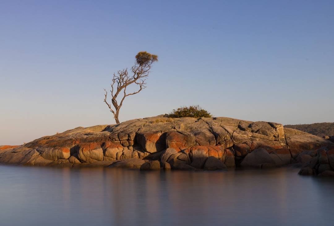 This tree. We had to find it. #binalongbay #bayoffires @tasmania #sunset #travel #photography #landscapephotography #seeaustralia #discovertasmania @Australia instagram.com/p/BcWaWUPgRFt/