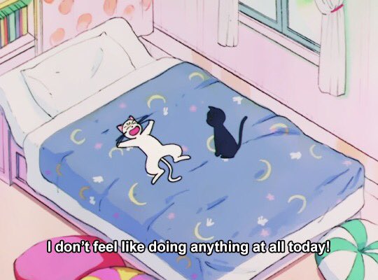 every day