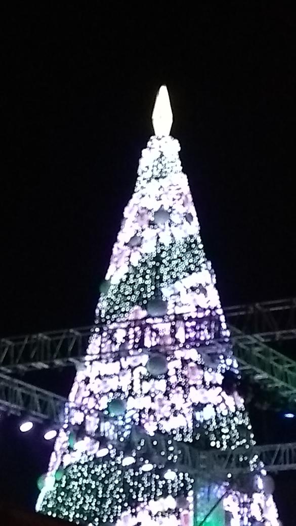 Servicios de salud (@servdesaludtorr) on Twitter photo Disfrutando del encendido del pino de Navidad en plaza mayor y los fuegos artificiales <a href="/JorgeMoranD/">Jorge Luis Morán D.</a> @CabildoTor <a href="/RadioTorreon/">Radio Torreón 96.3 FM</a> Disfrutando del encendido del pino de Navidad en plaza mayor y los fuegos artificiales <a href="/JorgeMoranD/">Jorge Luis Morán D.</a> @CabildoTor <a href="/RadioTorreon/">Radio Torreón 96.3 FM</a>