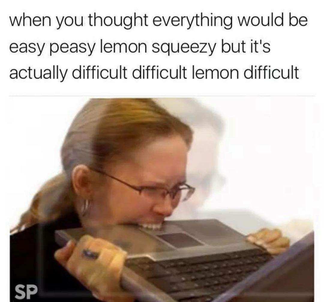 BitchReactsss's tweet photo. my life rn https://t.co/yo80JRgu7R