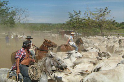 Ver imagen en Twitter Ver imagen en Twitter