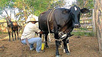 Ver imagen en Twitter Ver imagen en Twitter