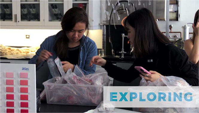 eTextileComms tweet media