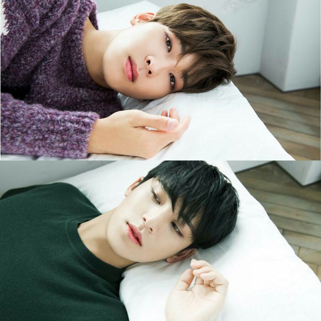 woxihuanni24's tweet photo. #NuevaFotoDePerfil #meanie #SEVENTEEN https://t.co/LZKSjpND3Q
