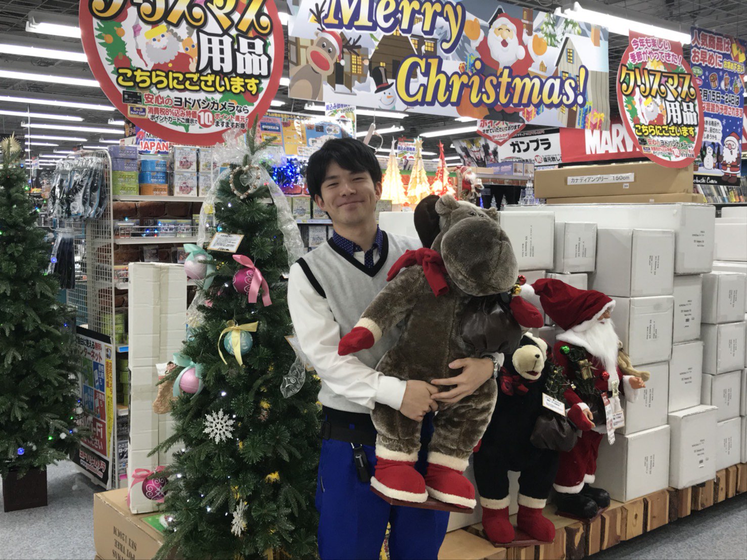 スコア セクタ フレームワーク ヨドバシ クリスマス プレゼント 知事 頬骨 お気に入り