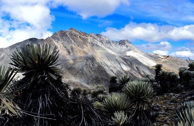 AndesVenezuela's tweet photo. La belleza del paramo seduce 
📷Ely Larrucea https://t.co/xr2MUk6tHV