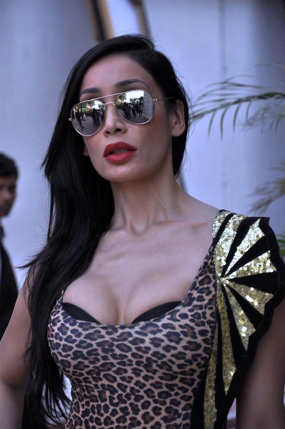 Happy Birthday to Sofia Hayat    About:  