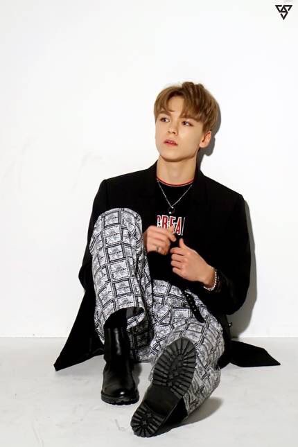 low quality vernon ✨ (@lowqualityhvc) on Twitter photo 