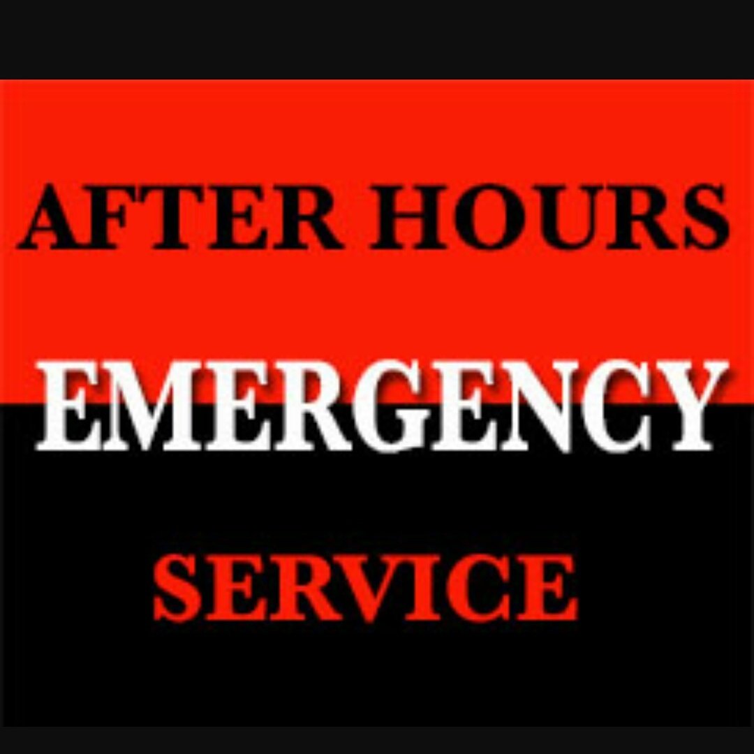 tangodownpest's tweet photo. We are proud to offer after hours emergency pest control! #miceproblems #rodents #pestcontrol780 #pestcontrol #780 #yeg #bedbugsedmonton #bedbugspecialist #bedbugs #bedbugsbite #edmonton #cockroaches #exterminator #restaurants #commercial #residential https://t.co/CqhP5WTYx1