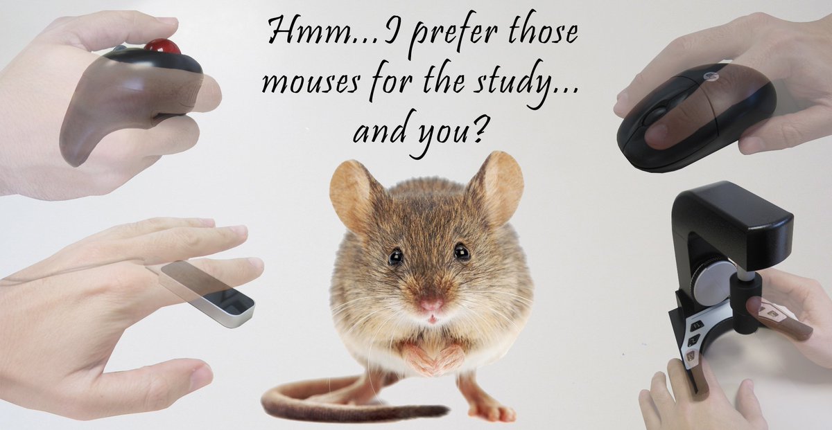 That is a mouse. That is a mouse