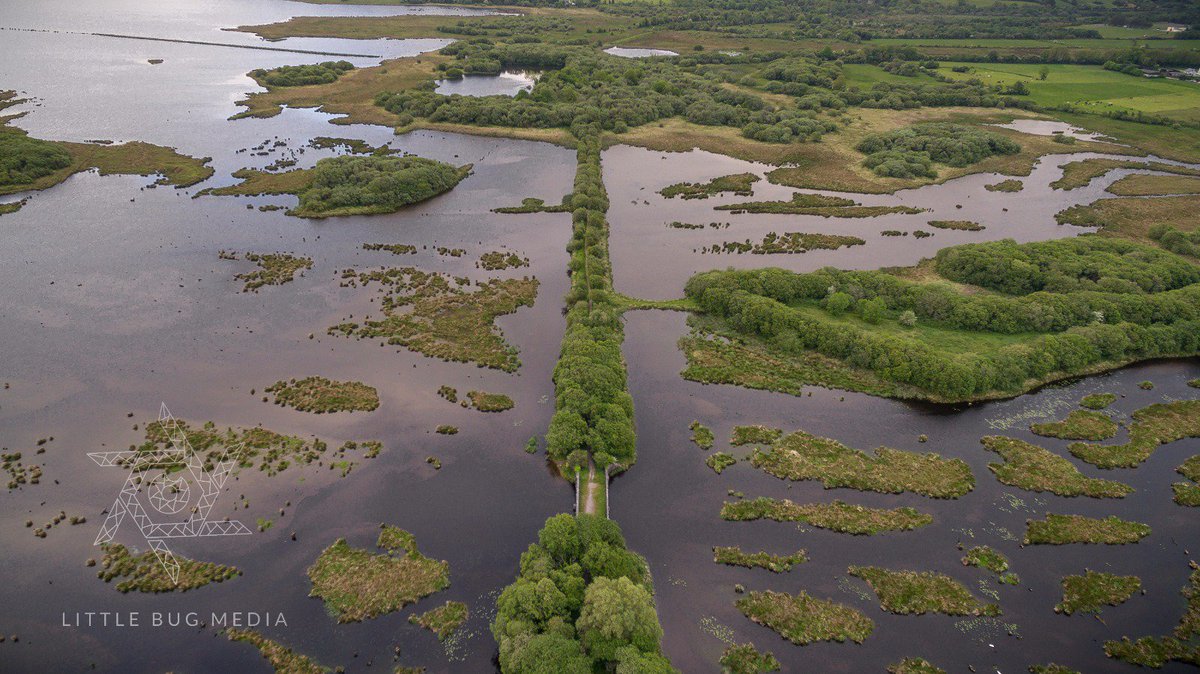 We're saddened to hear of the destruction of the Gearagh. We loved this hidden gem in #Cork and always took great pleasure in capturing it from above. Here's 2of our favourite pics showcasing the submerged glacial woodland &amp; the walkway
Read about it here: irishexaminer.com/breakingnews/v…