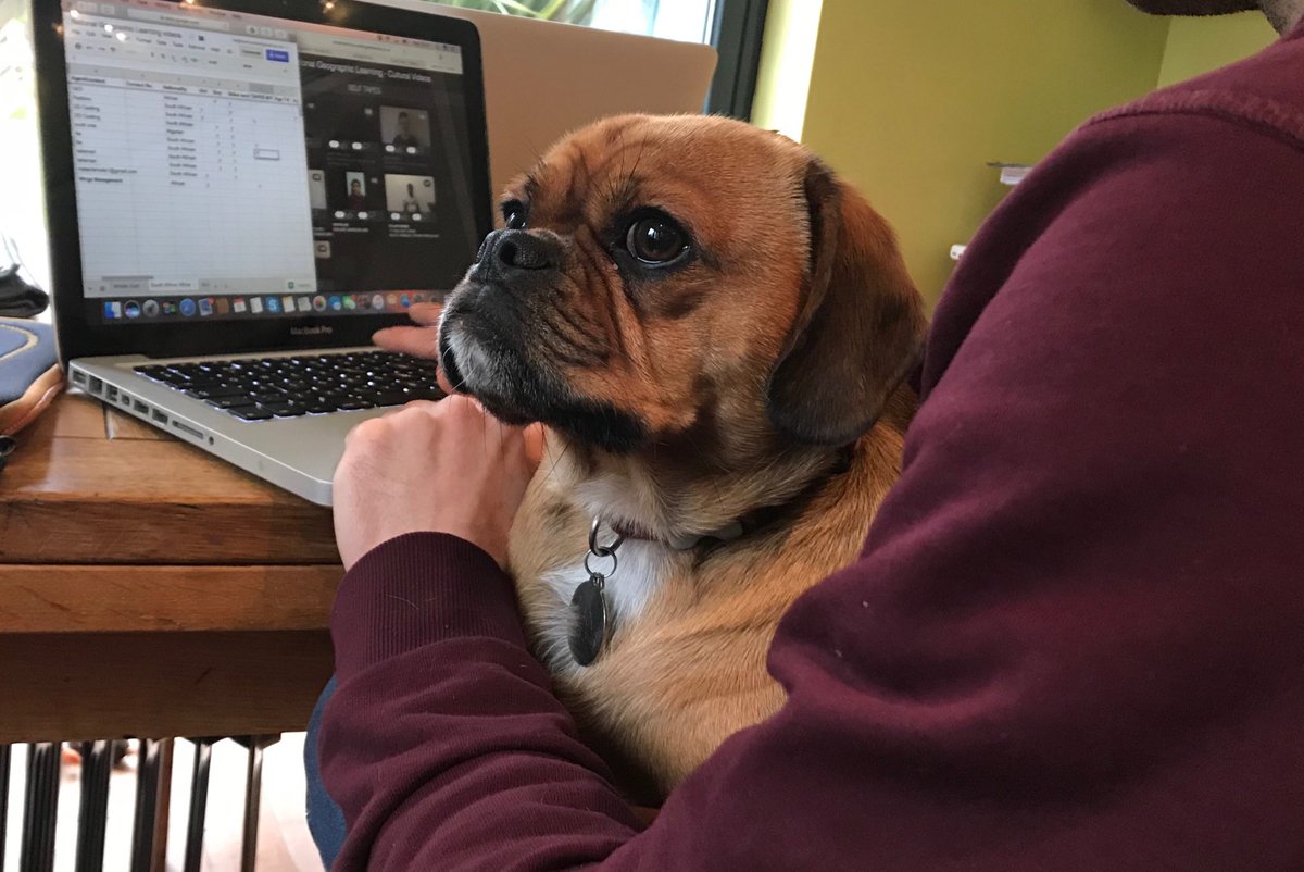 ShakyraDowling's tweet image. #Castingdog watching self tapes with assistant @Andy David actor