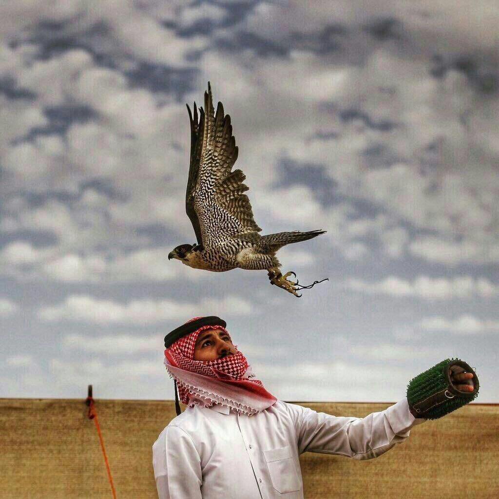 ياطير لولا الغلا ما قمت آداريك
وآترك جميع الناس واصبح موالي
.
يسلى ضميري بالخلا يوم أباريك
ومن زود حبك مرخص لك حلالي