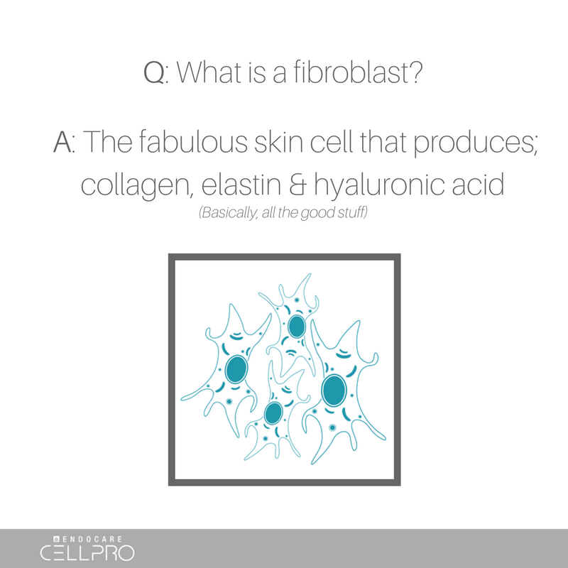 AesthetiCareUK's tweet photo. CELLPRO activates stem cells to produce more fibroblasts . . . Itโs the only product in the world to work in this way! ๐๐ป
#CELLPRO https://t.co/P2r2D1Ere1