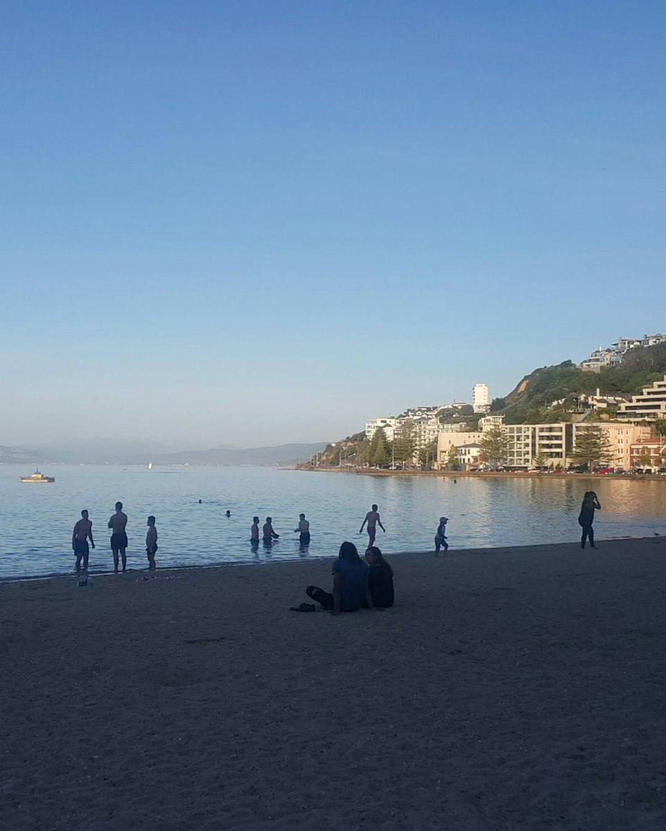 chamfy's tweet photo. 10mins from the #dreamflat.
This is my life now #wellingtonnz https://t.co/cCcX9sYiJR