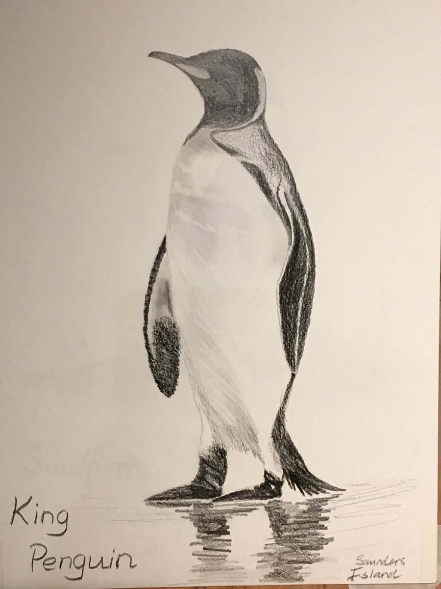 CanDrawLtd's tweet photo. Can Draw Ltd working in primary schools helping both teachers and children how to draw. https://t.co/3ufGHypYJx