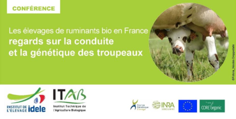 InstitutElevage's tweet photo. Avec l'@ITABinstitut #FranceGénétiqueElevage @Inra_France #Europe #CoreOrganic
Tout l'équipe vous attend au #FIAP https://t.co/scw7PPBjng