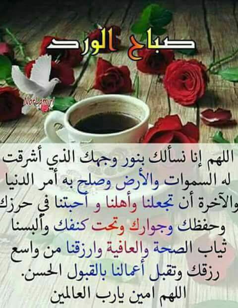 صباح الورد والياسمين