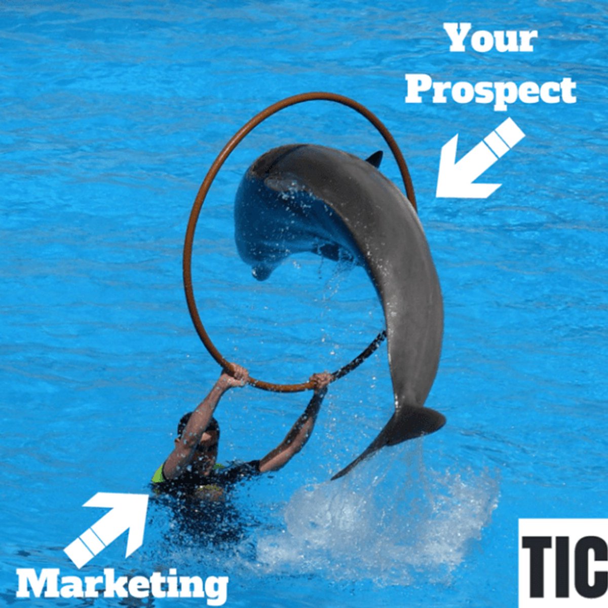 leahalexanderPR's tweet photo. 3 forward-thinking marketing strategies to scale your startup https://t.co/bkC4uXk90p https://t.co/6QL6yyOJSJ