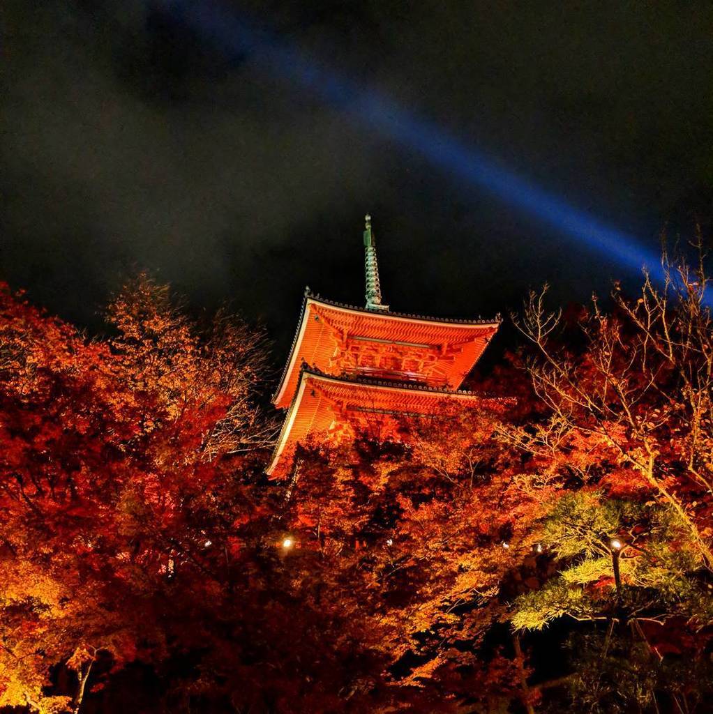 Snubs's tweet photo. The fall foliage light up at Kiyomizudera. Gorgeous!
.
.
#kiyomizudera #temple #shrine #japan #japantravel #traveljapan #SnubsInJapan #japantrip #discoverjapan #japantravelcom #instagramjapan #japanawaits #japanloverme #japan_night_view #visitjapanjp #vi… https://t.co/D0NExAY0RW https://t.co/hf5VnGVcMG