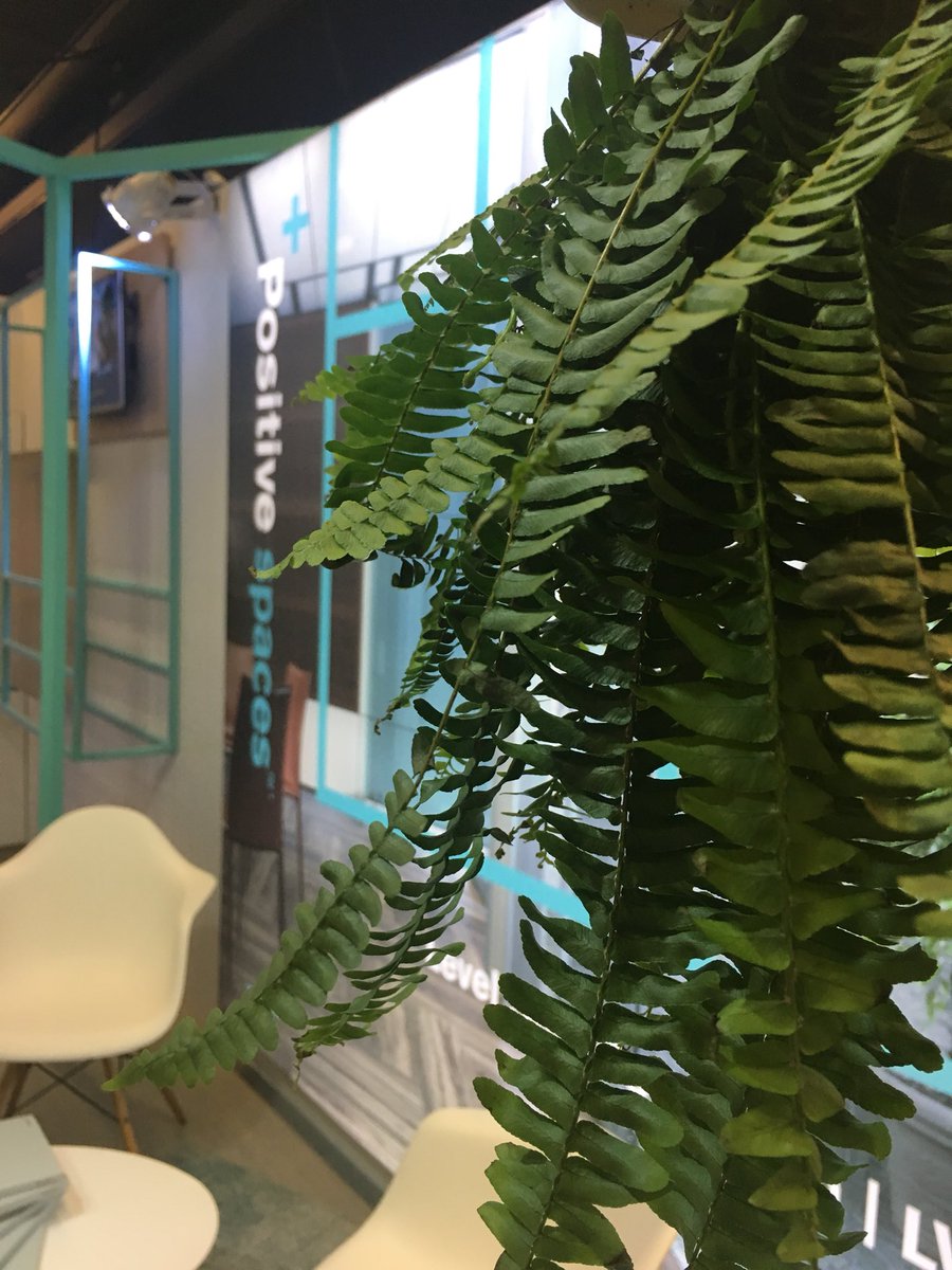 MickaelCornou's tweet photo. Venez découvrir nos #PositiveSpaces avec les dernières collections @Interface_FR #moquette et #lvt et notre programme #quickship au #SIMI2017 stand E102 ! https://t.co/aJDI9W6nh3