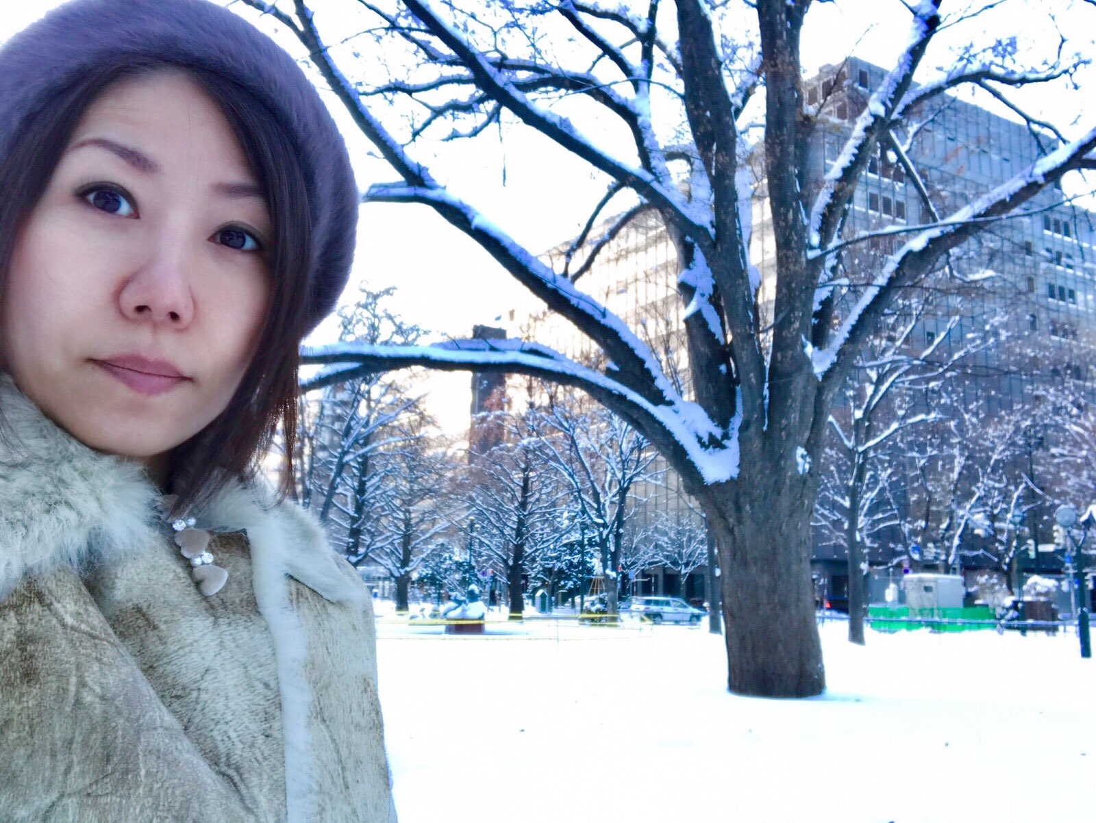 冬の札幌 Twitter Search Twitter