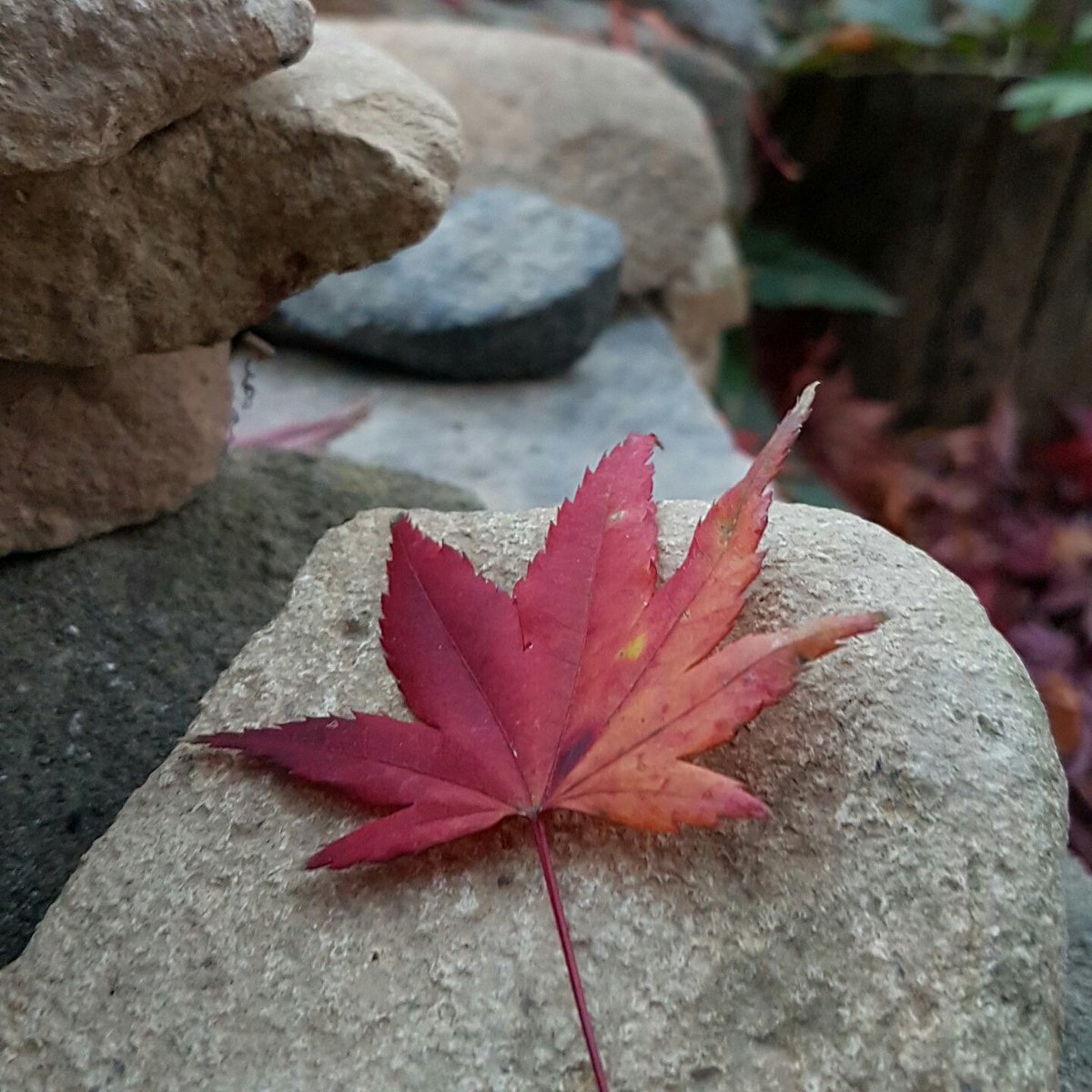 Kalau sudah semangat, bergerak  berkaryalah, itu akan mengikat semangat dlm diri utk mampu bertahan lebih lama.