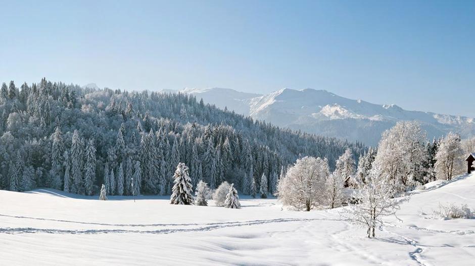 TheNationalNews's tweet photo. Ski central: 11 best ski resorts close to Geneva #winter #Skiing
https://t.co/9Ga2gc2wfm https://t.co/A2TXooYBHV