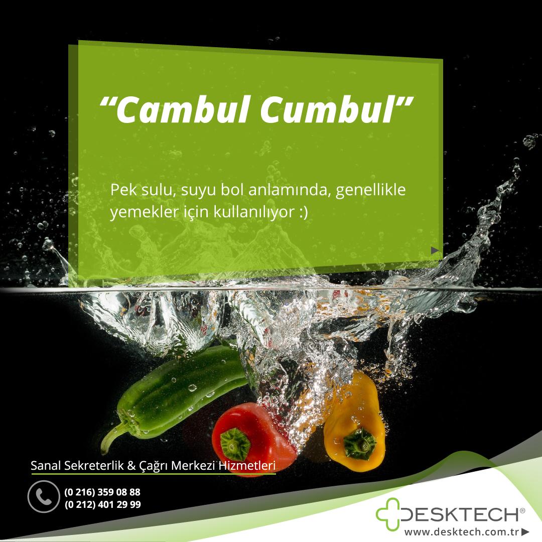 DesktechTR's tweet photo. Bu deyimi daha önce duymuş muydunuz? #CambulCumbul 🙂#Deyimler #Biliyormuydunuz https://t.co/OVPsDtU58r