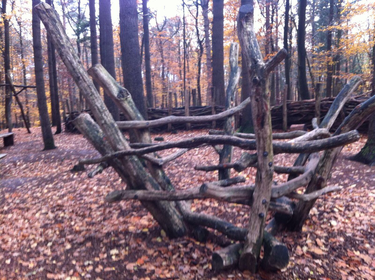DeelenWilfried's tweet photo. Studenten @HANSportBewegen ontwerpen uitdagende beweegvriendelijke speelelementen voor #speelbos en #avonturenbos Stekkenberg. @GroeneZorg @deopenlucht @OngerepteNatuur @beterinhetgroen https://t.co/3XgsT1DKxm