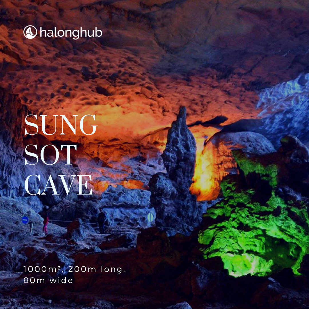 HalongHub's tweet photo. If you plan to stay in Halong Bay for like a month, feel free to explore yourself 59 "discovered" caves and grottoes (and so many more yet to be known). But if you're short of time, here are the 4 most famous caves to consider. https://t.co/puhJdbr1jz