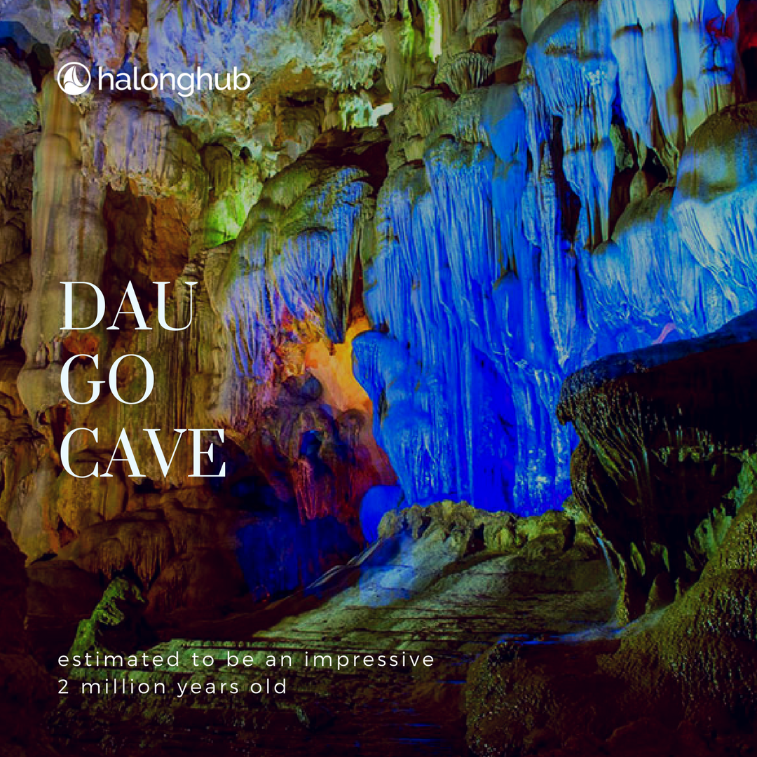 HalongHub's tweet photo. If you plan to stay in Halong Bay for like a month, feel free to explore yourself 59 "discovered" caves and grottoes (and so many more yet to be known). But if you're short of time, here are the 4 most famous caves to consider. https://t.co/puhJdbr1jz