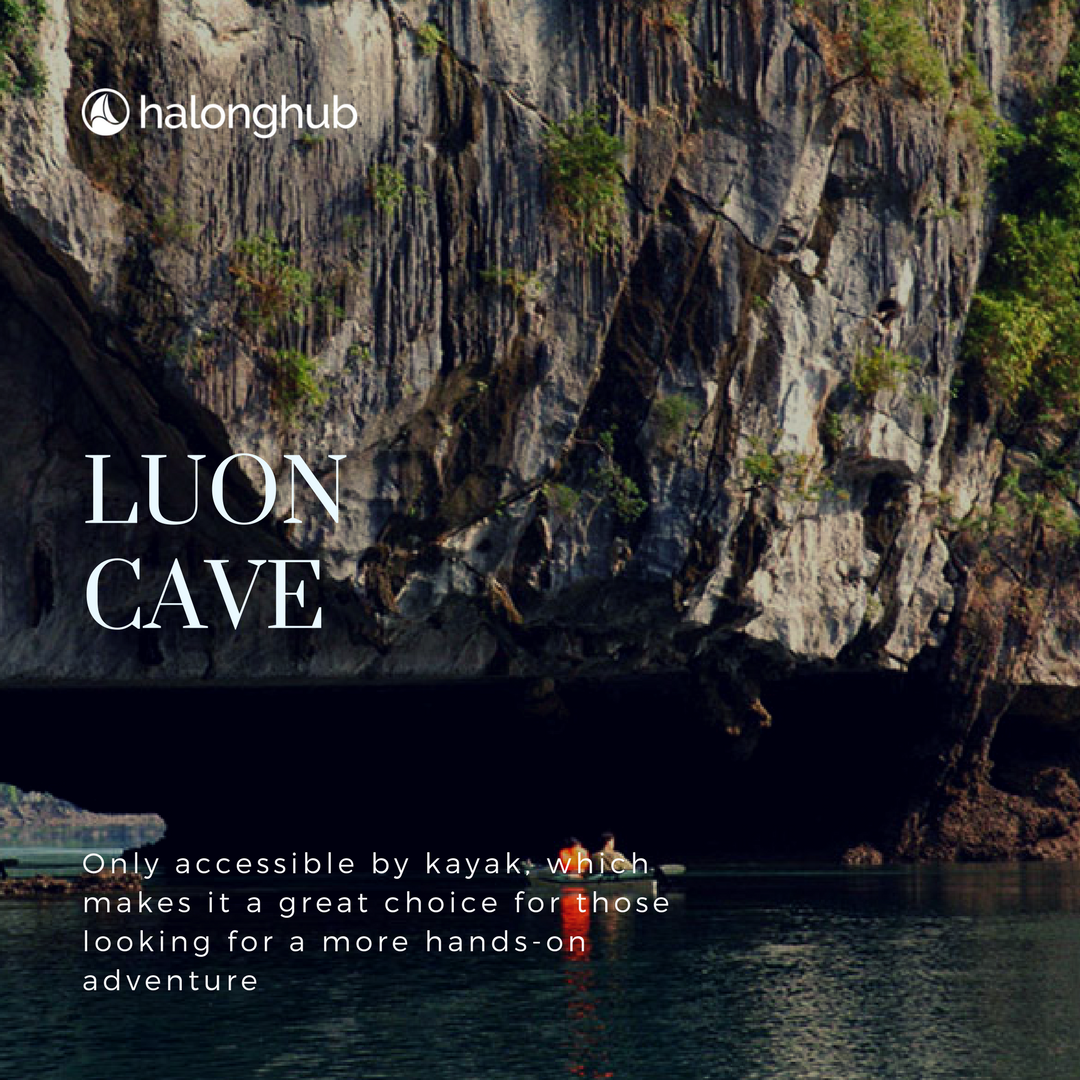 HalongHub's tweet photo. If you plan to stay in Halong Bay for like a month, feel free to explore yourself 59 "discovered" caves and grottoes (and so many more yet to be known). But if you're short of time, here are the 4 most famous caves to consider. https://t.co/puhJdbr1jz