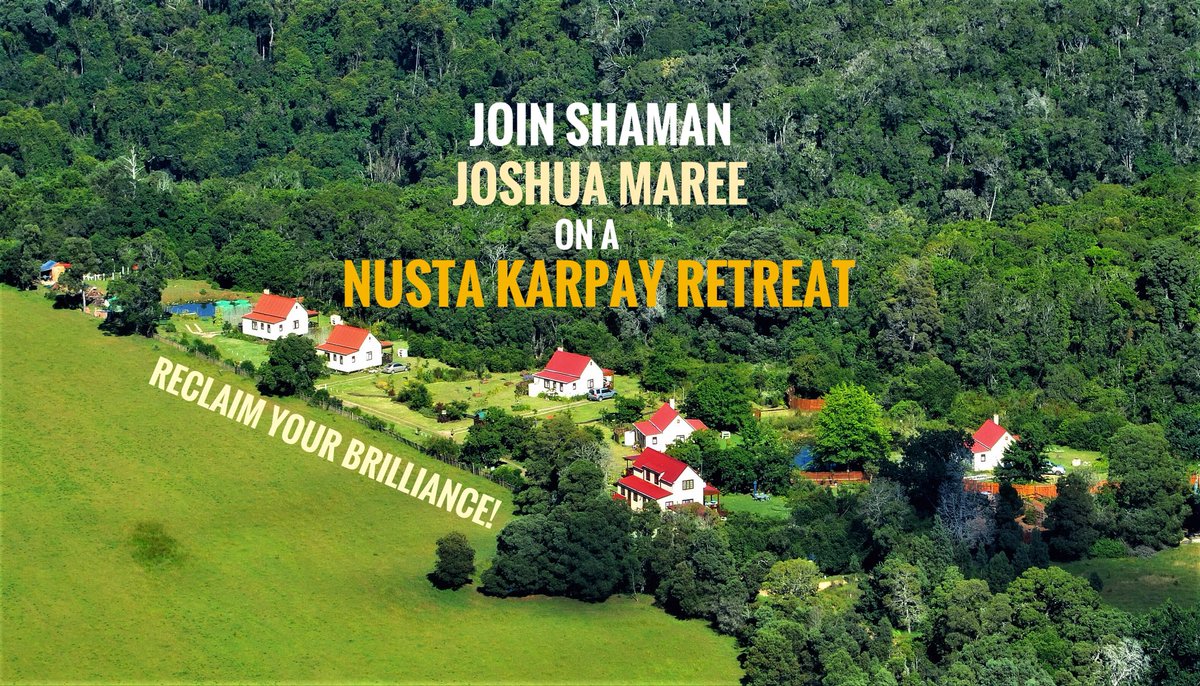 Forest_Edge tweet media