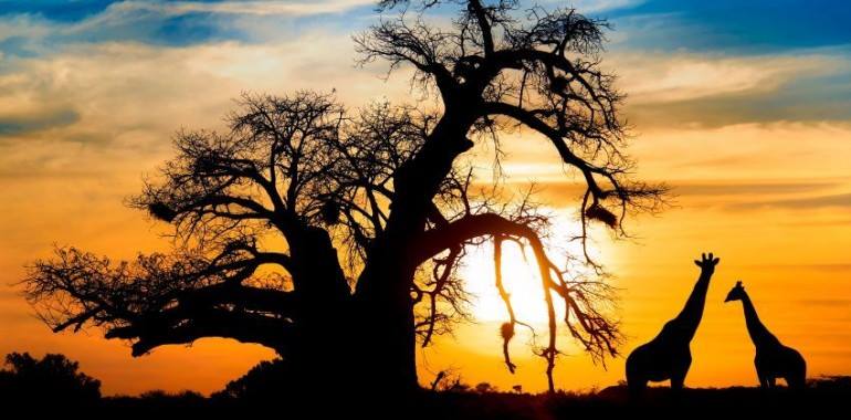 WeTravelToo's tweet photo. Zuid-Afrika is genieten! En ja, ook dit kan allemaal als rolstoelgebruiker of persoon met fysieke beperking.

Meer info: https://t.co/fk6h1hCGNL https://t.co/4gRfW5C1mM