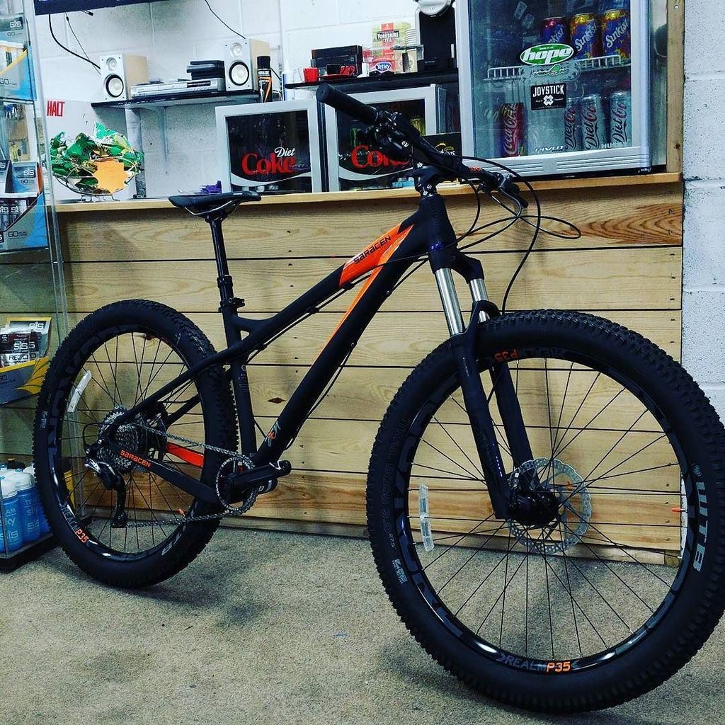 saracen zen 1