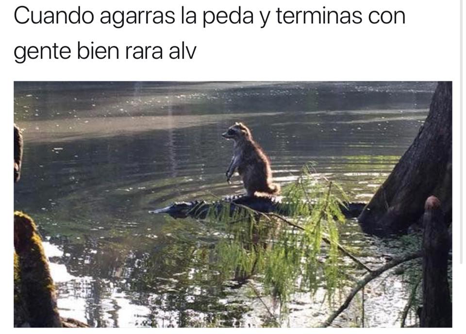 jajajajajajjaja khe?