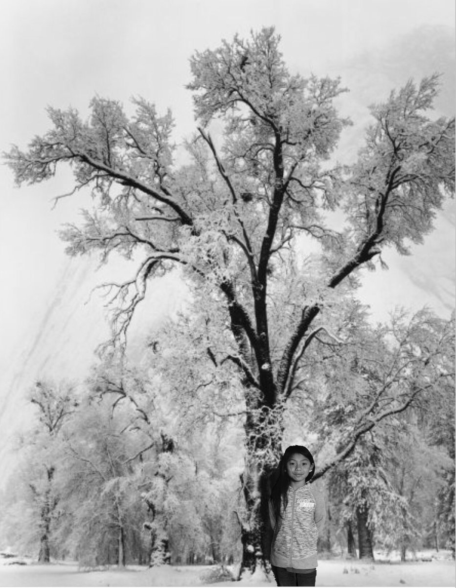 MrsNkellenb's tweet image. #ApplePages #InanAnselAdams elementary #digitalartproject s are starting to be turned in and I LOVE them! #appleteacher