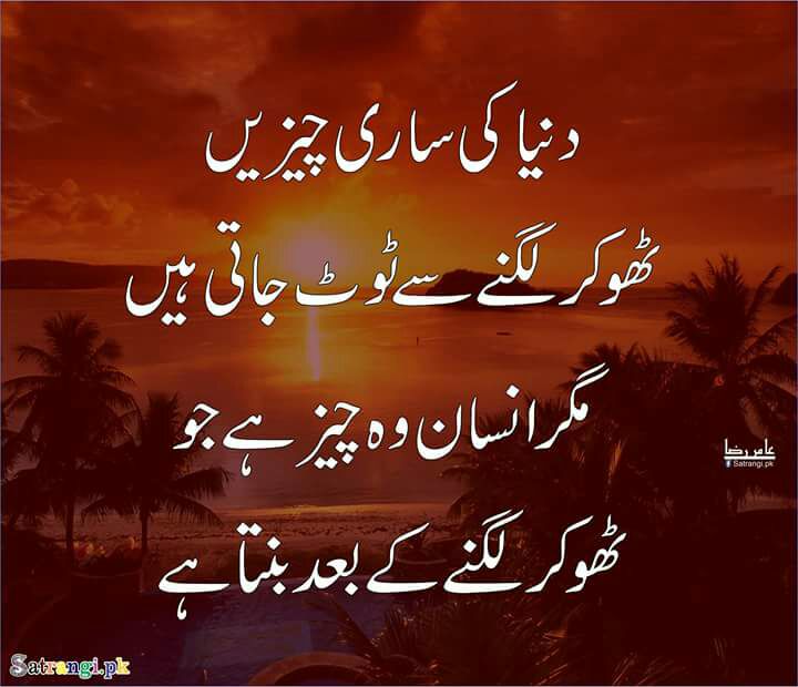 Jacobjaved41 tweet picture