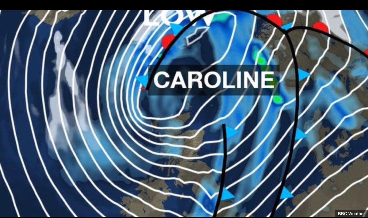 Axminster Country tweet media