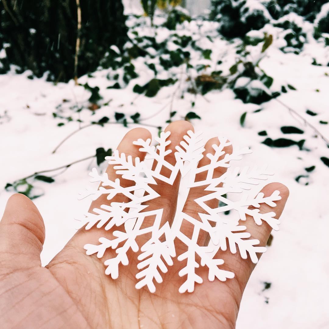A #papercut snowflake that will never melt ❄ 
📷: @binaviviensantos (Instagram)