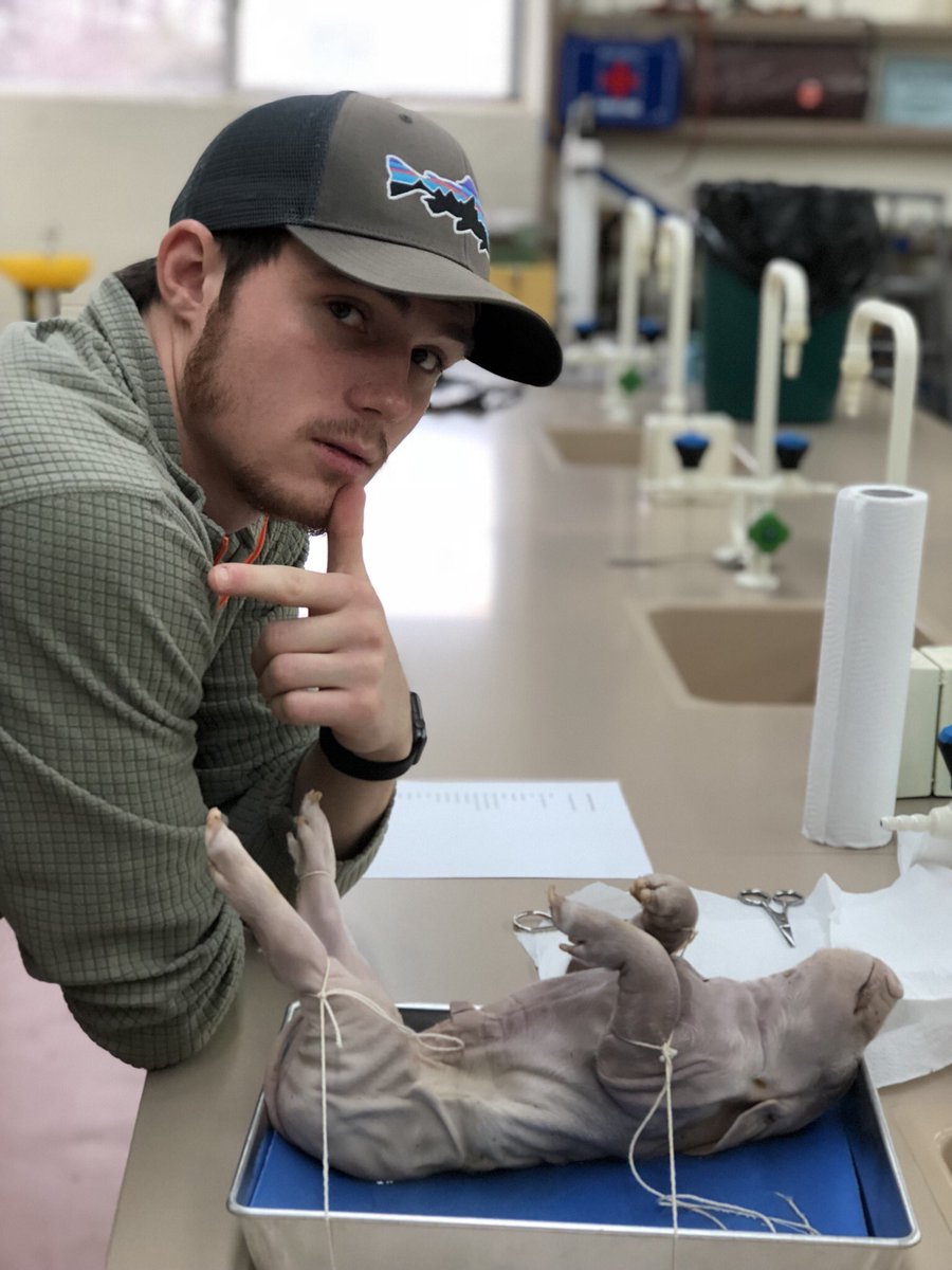 Christian Hamilton tweet media