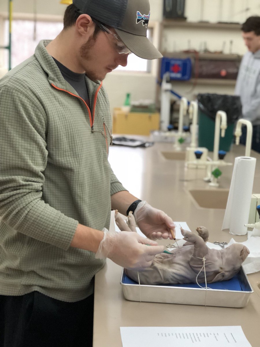 Christian Hamilton tweet media