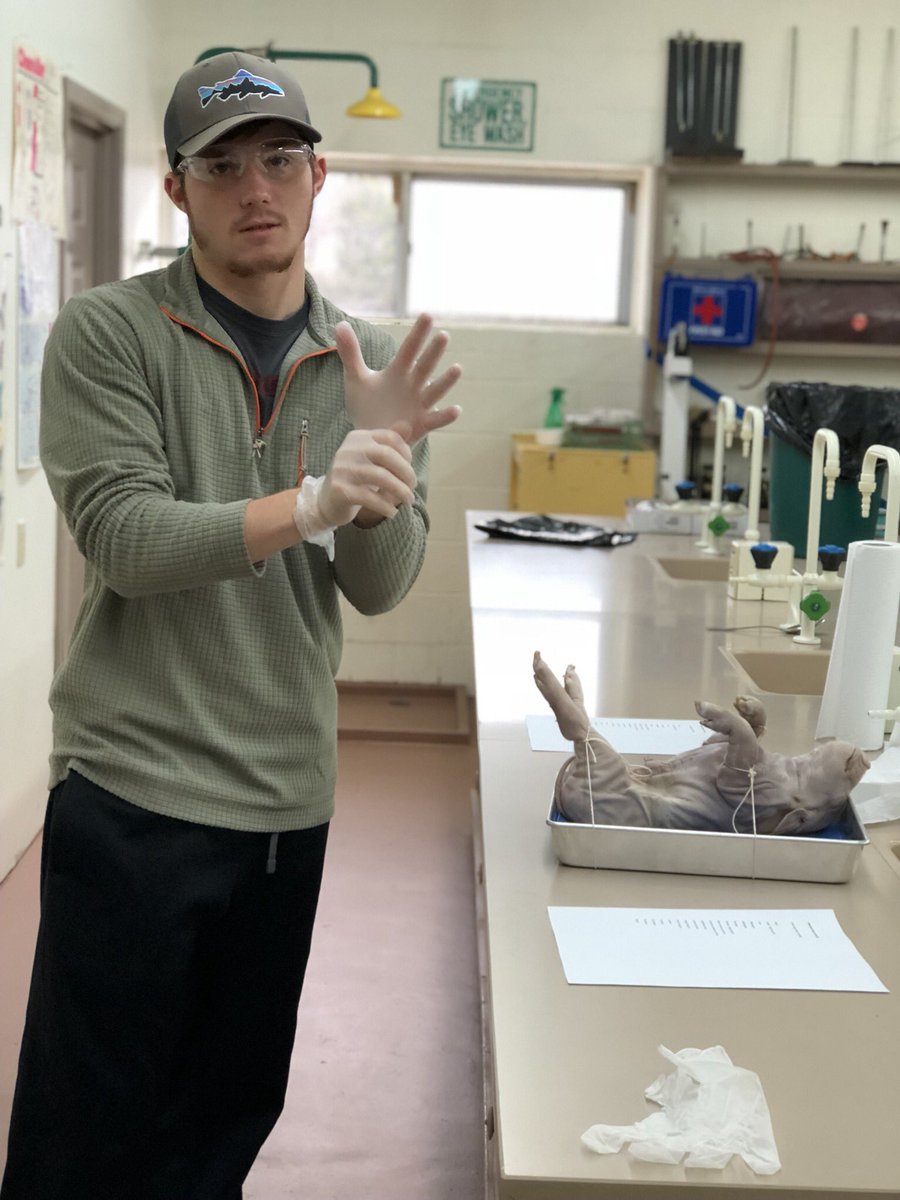 Christian Hamilton tweet media