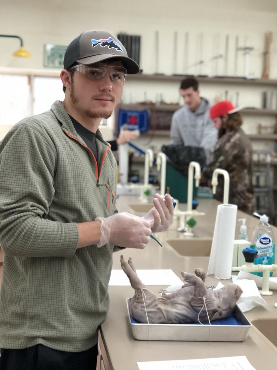 Christian Hamilton tweet media