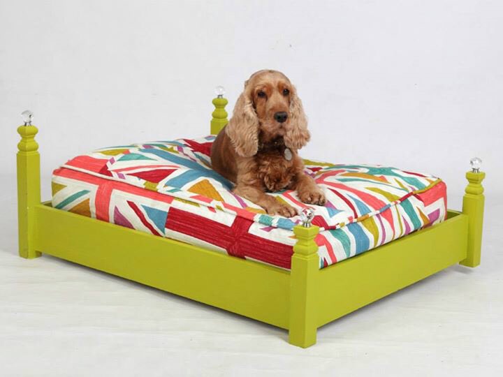 House_of_Coco's tweet image. From @ChoupettesDiary-inspired collars to the cosiest dog beds, the luxury gifting game for pets has never been stronger! houseofcoco.net/festivefeels-l… #luxurygiftsforpets #ChristmasGiftGuide