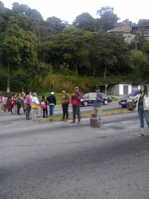 Ver imagen en Twitter