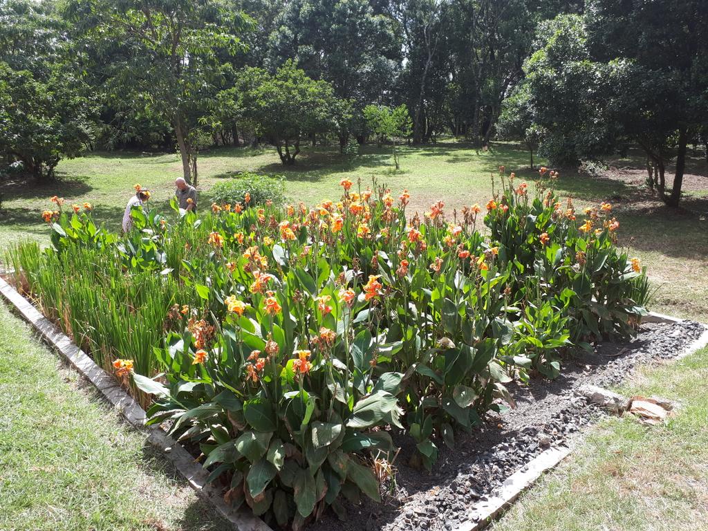 MaMaSe (UNESCO-IHE) (@mamase_ke) on Twitter photo Wetland at Mara Training Centre. How does your lodge dispose waste? @mahaliMzuru <a href="/Sarova/">xamaureen lusweti</a> <a href="/KeForestService/">Kenya Forest Service</a> <a href="/Environment_Ke/">Ministry of Environment, Climate Change & Forestry</a> <a href="/KWCAKenya/">Kenya Conservancies</a> <a href="/kwskenya/">Kenya Wildlife Service</a> Wetland at Mara Training Centre. How does your lodge dispose waste? @mahaliMzuru <a href="/Sarova/">xamaureen lusweti</a> <a href="/KeForestService/">Kenya Forest Service</a> <a href="/Environment_Ke/">Ministry of Environment, Climate Change & Forestry</a> <a href="/KWCAKenya/">Kenya Conservancies</a> <a href="/kwskenya/">Kenya Wildlife Service</a>